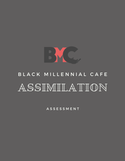 Assimilation Assessment