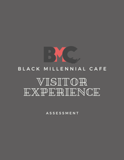 Visitor Experience Assessment