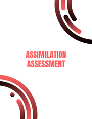 Assimilation Assessment